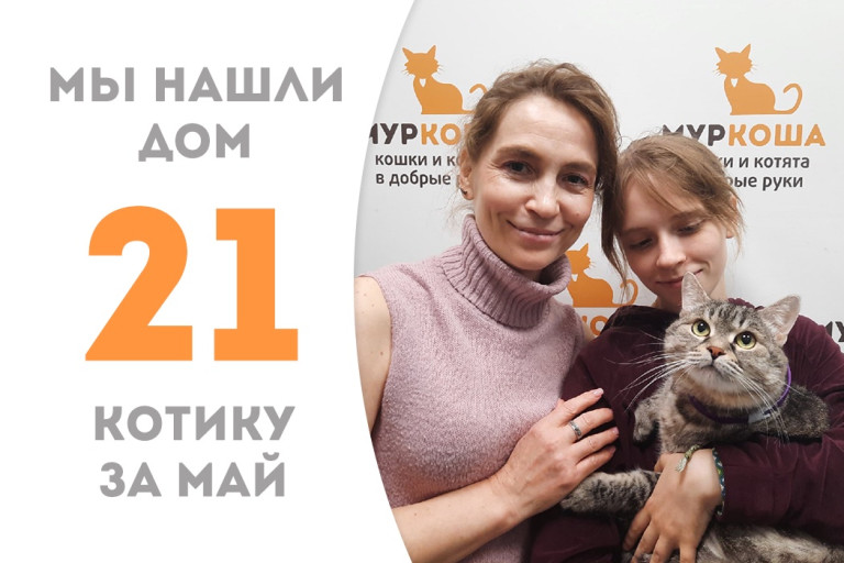 Котика Тимофейку забрала себе замечательная семья! 