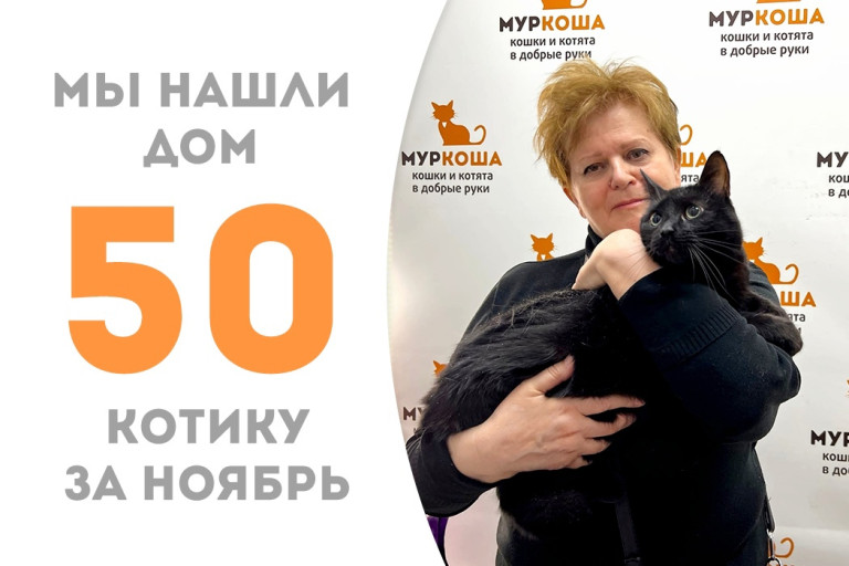 Четырёхлетний котик Тунгус обрёл свою вселенную! 