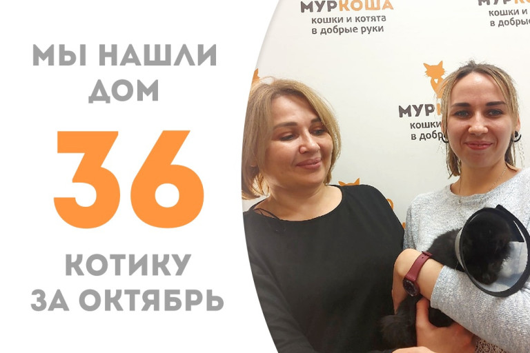 Незрячий котёнок Турмалин нашёл для себя прекрасных людей, пробыв два месяца в приюте! 