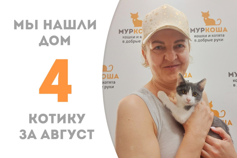 Пробыв в приюте чуть более месяца котёнок Тузик стал домашним! 