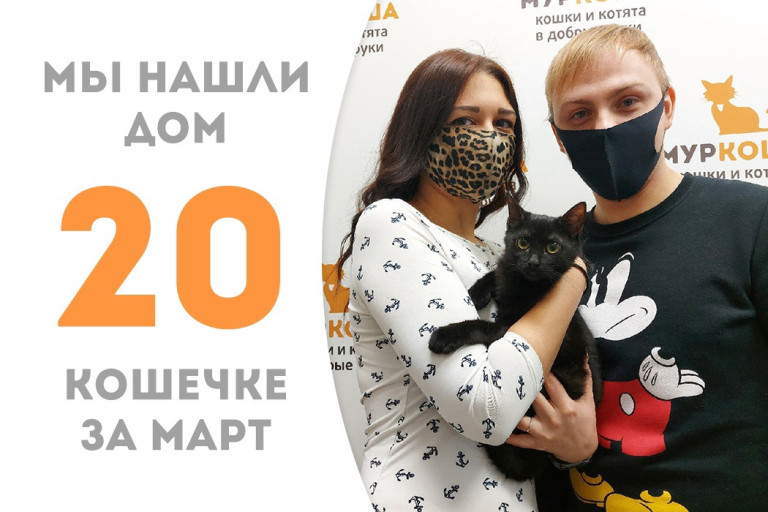 Кошечка Умра нашла свой новый дом за два месяца!