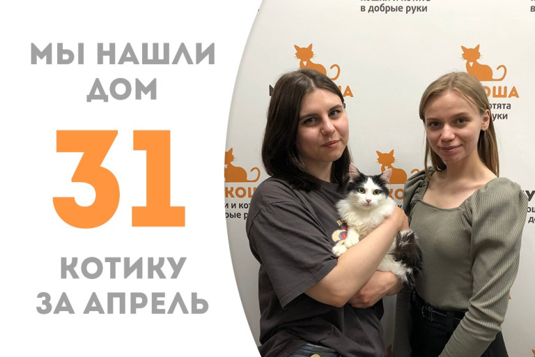 Котик Урфи нашёл своё счастье!