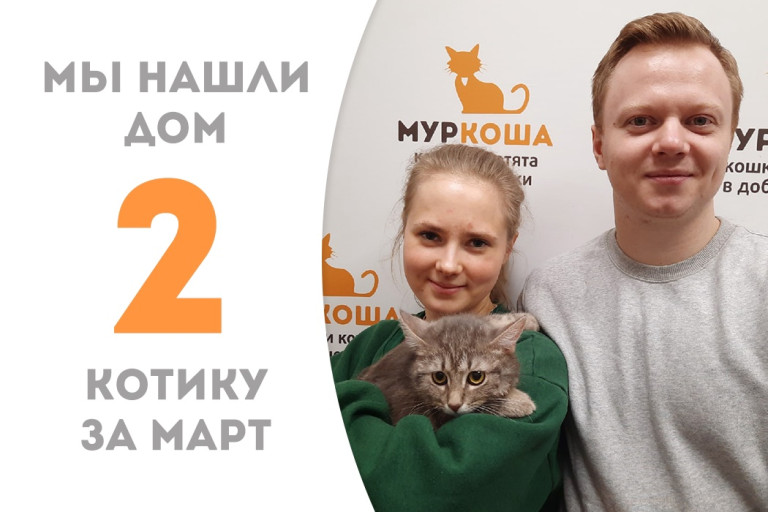 Котик Валера стад домашним за два с хвостиком месяца!