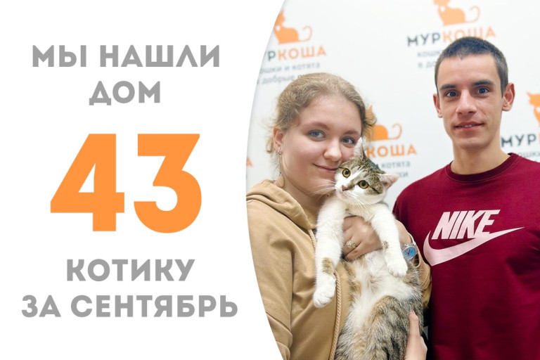 Попавший под машину трёхлетний котик Варрава восстановился и отправился в домашнюю жизнь! 