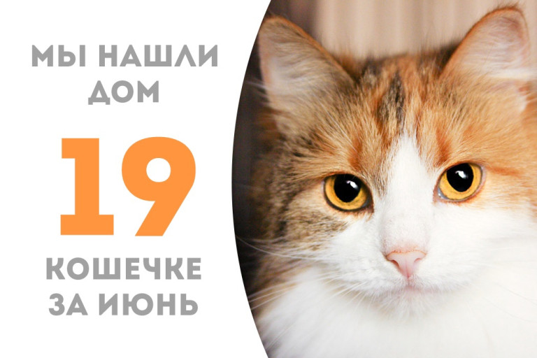 Кошечка Василисия стала домашней менее чем за два месяца!