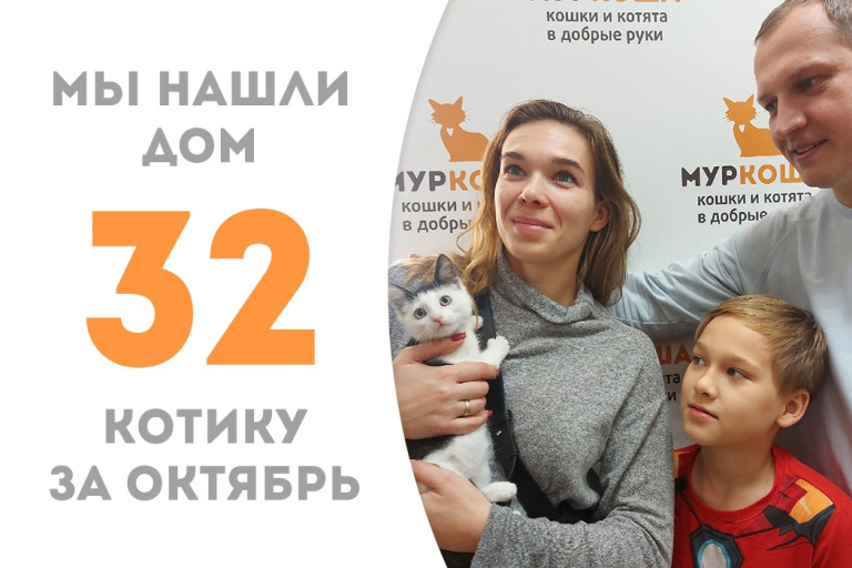 Малыш Верховенский собрал свой походный рюкзачок, найдя дом за три недели! 