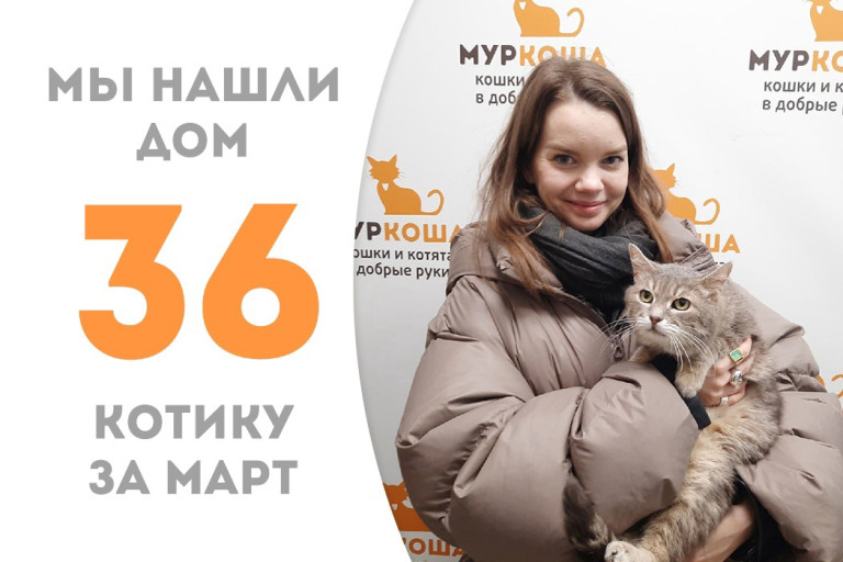 У котика Востока начинается прекрасная домашняя жизнь!