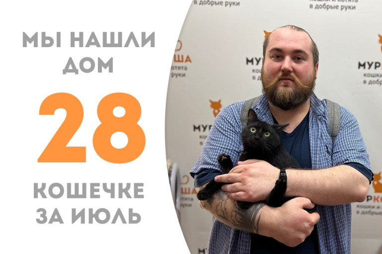 Чуть более трёх месяцев понадобилось кошечке Юнландии из Мариуполя для поиска нового дом! 