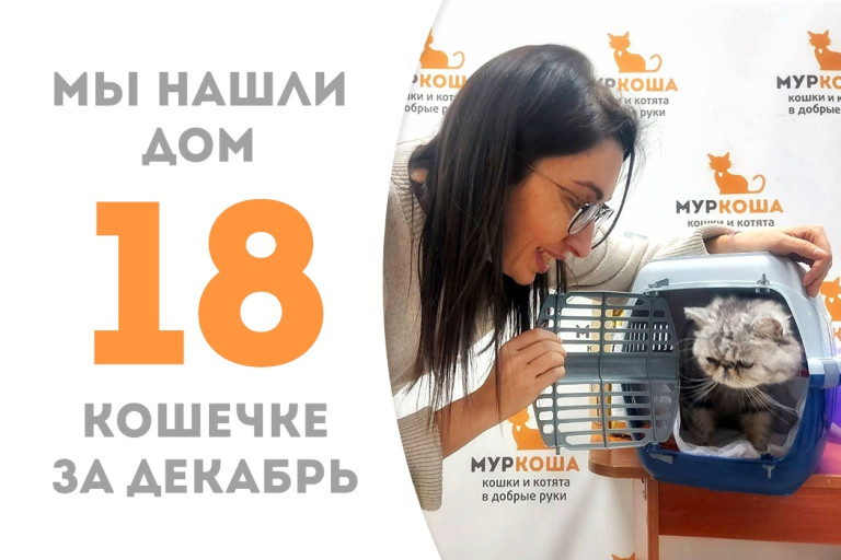 Кошечка Жестина обрела новый дом, проведя два с половиной месяца в приюте!
