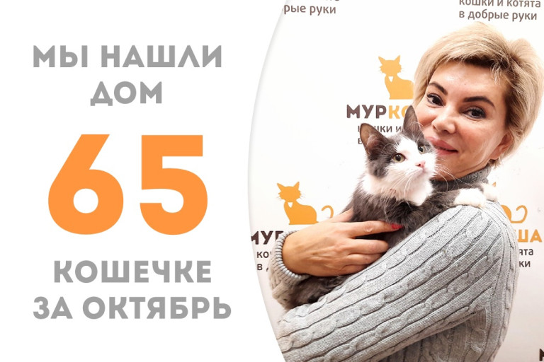 Малютка Зиза стала домашней кошечкой, проведя в приюте менее трёх месяцев! 