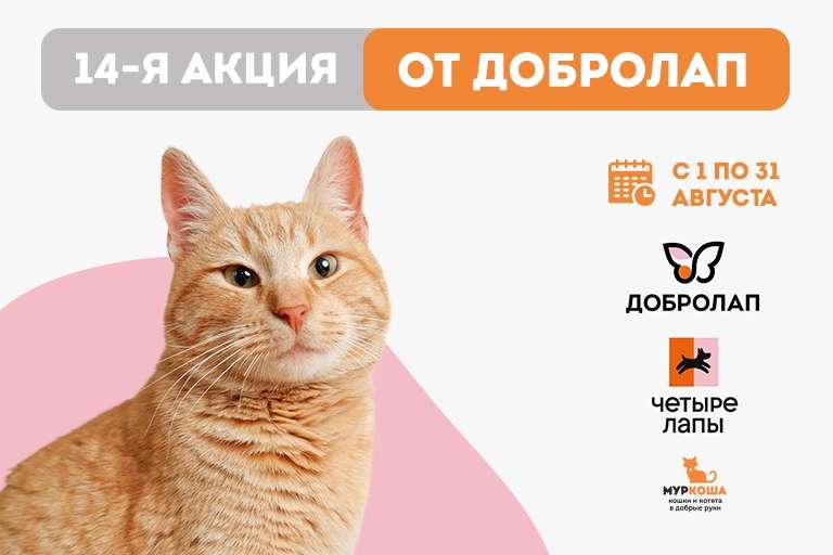 14-ая акция "Добролап" от зоомагазина "Четыре лапы"