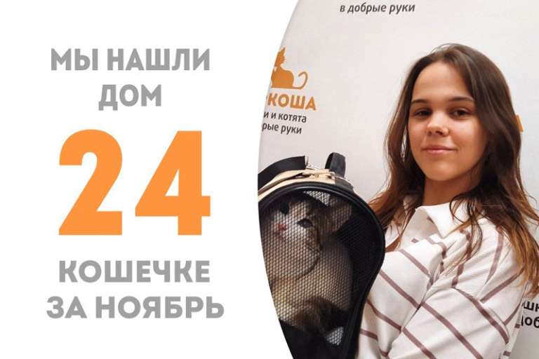 Абигейл встретила свою добрую хозяйку и стала домашней!