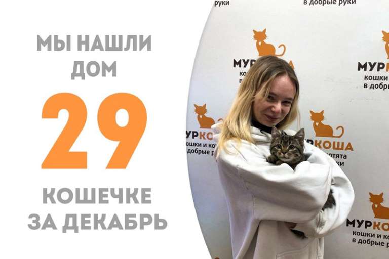 Меньше двух месяцев провела Аравия в приюте, а уже встретила своего человека!