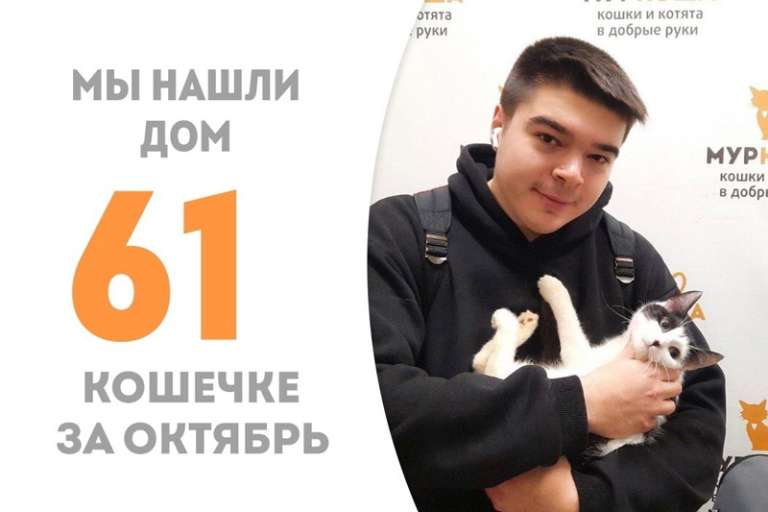 Аризона отправляется домой, пробыв у нас менее 3 месяцев!