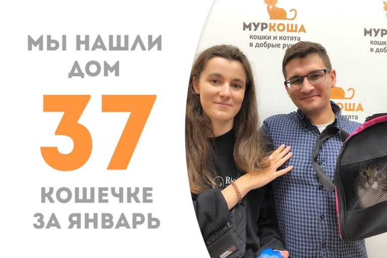 Пятилетняя кошечка Арви стала домашней любимицей!