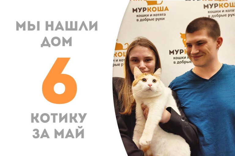 Котик Атаракс начинает домашнюю жизнь!