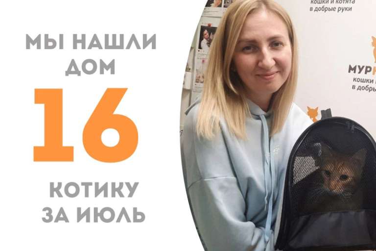 Авизо обрел дом, пробыв у нас чуть больше двух месяцев!