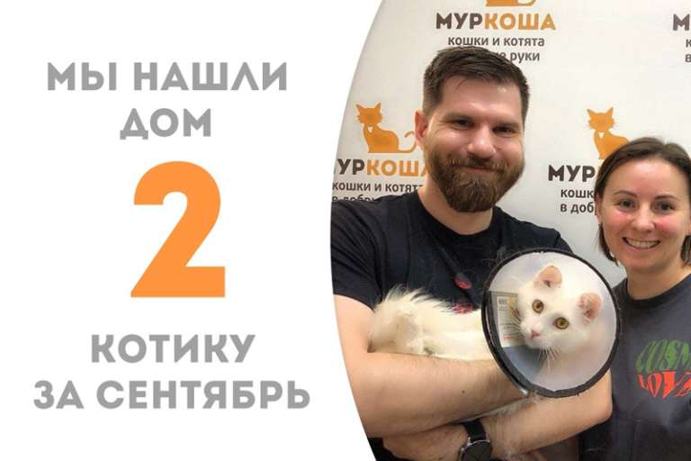 Всего два месяца и Айран дома!