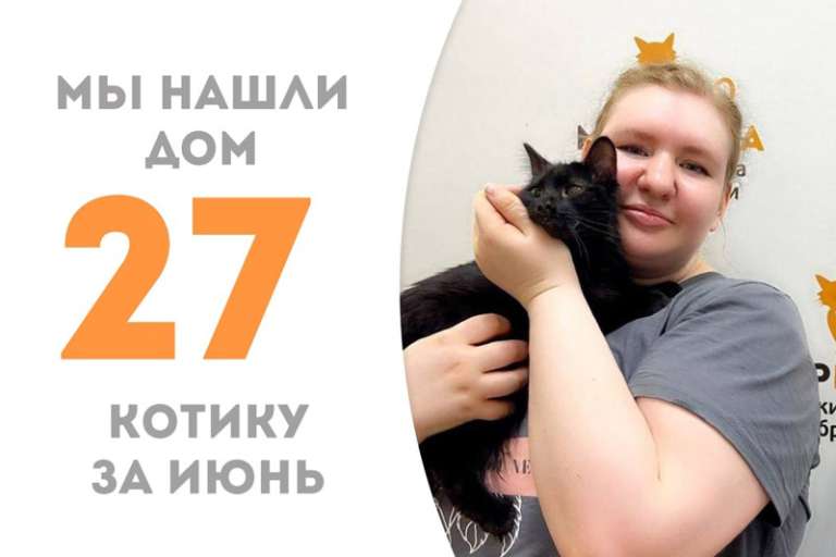 Барашек стал домашним!