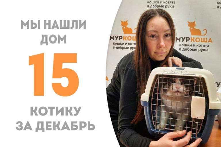 Барсюшенька стал домашним!