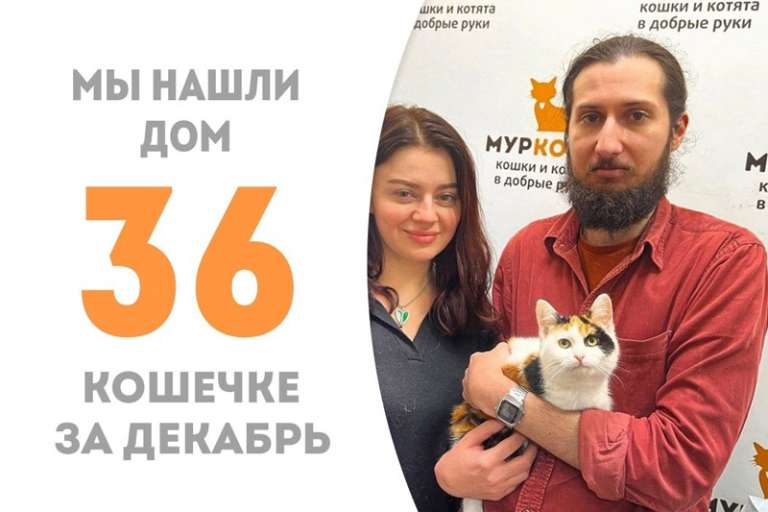 Очаровательная Батошка, пробыв чуть более месяца в приюте, уезжает домой.