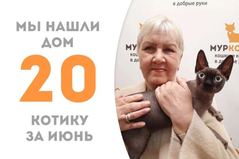 Котик Баттерс нашёл свою семью за две недели!