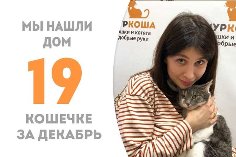 Пробыв в приюте чуть более месяца счастливая Бейонсе уезжает к куратору!
