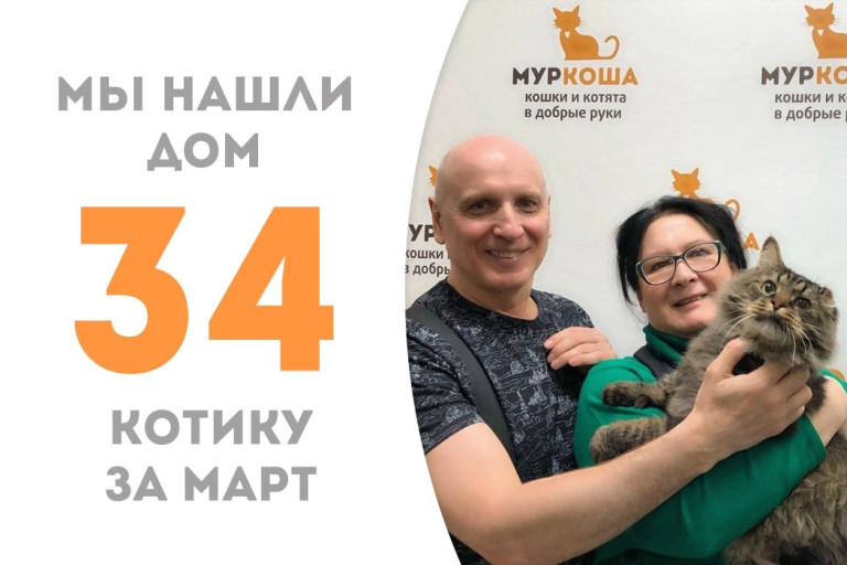 Восьмилетний котик Бигбосс нашёл семью!