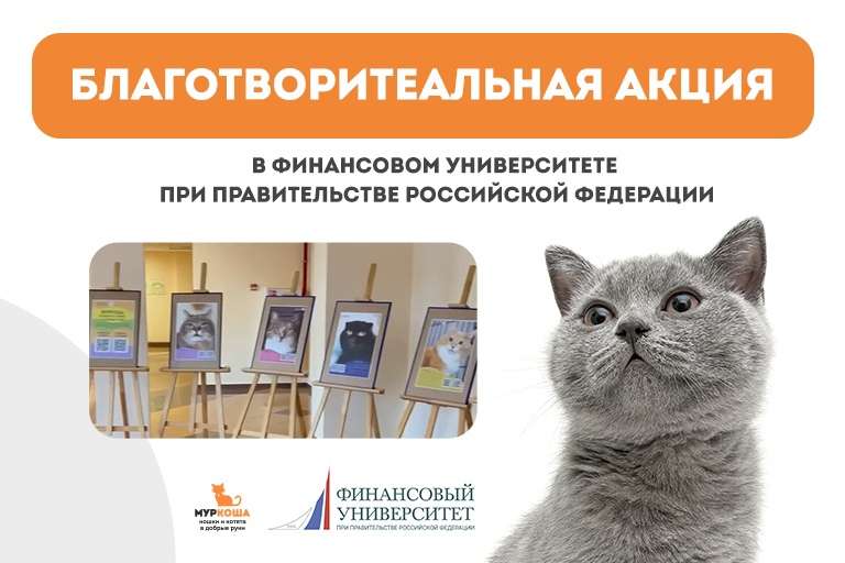 С заботой о котиках
