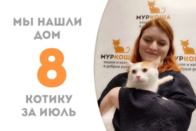 Блинчик встретил своего человека!