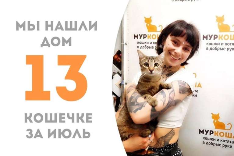 Кошечка Брэфа встреча свою хозяйку!