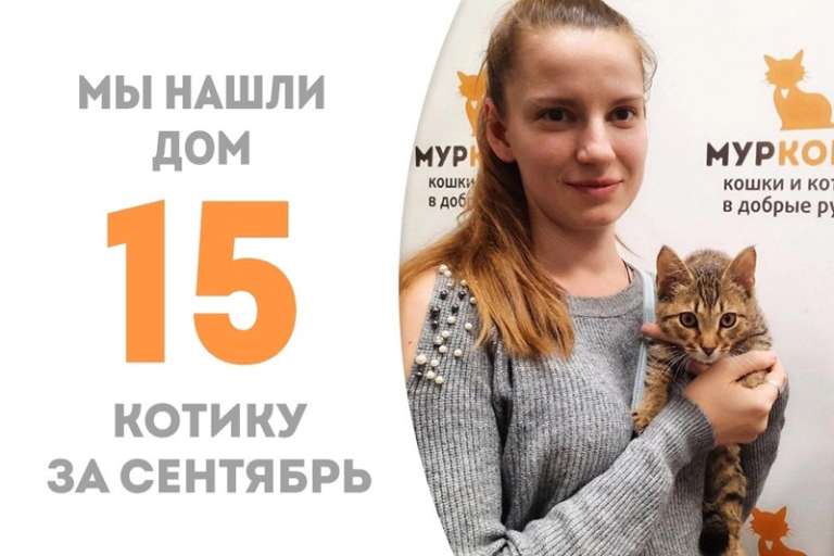 За месяц Буклетик стал домашним!