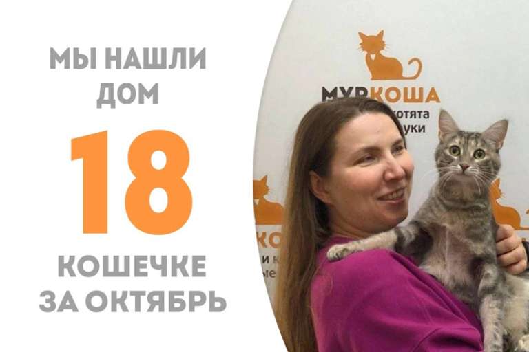 Чашечка теперь дома!