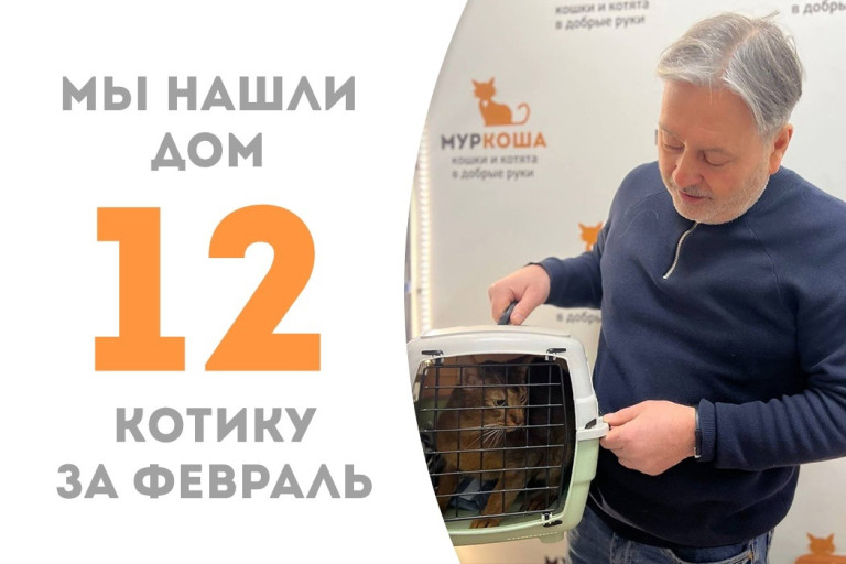 Котик Честерфилд начинает жизнь с чистого листа!