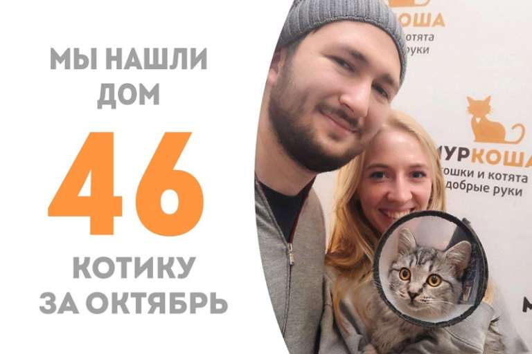 Всего два месяца понадобилось Чикаго, чтобы стать домашним!