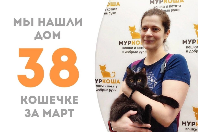 Кошечка Чира встретила свою хозяйку всего месяц!