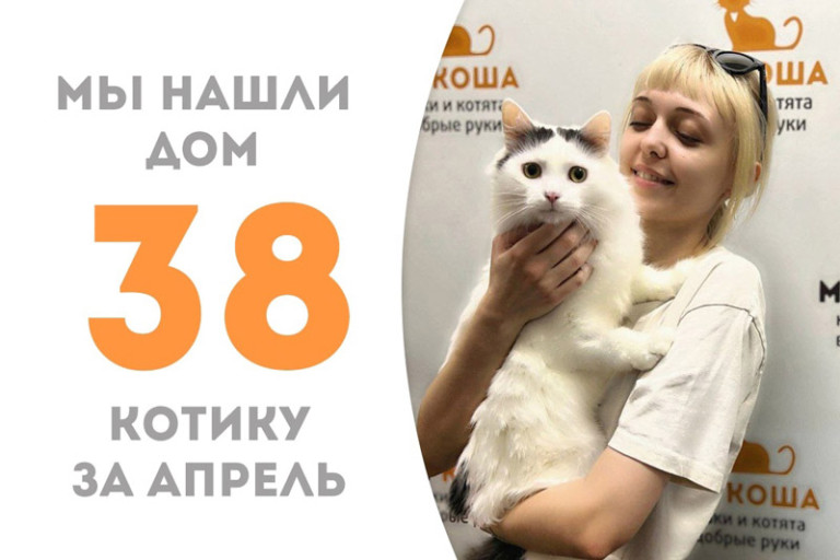 Котик Чизи стал домашним, его мечта осуществилась!