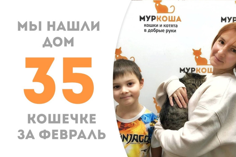 Кошечка Чукотка стала домашней и любимой!