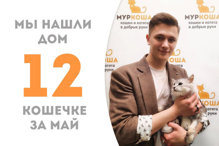 Цуна встретила своего человека и обрела настоящую семью!