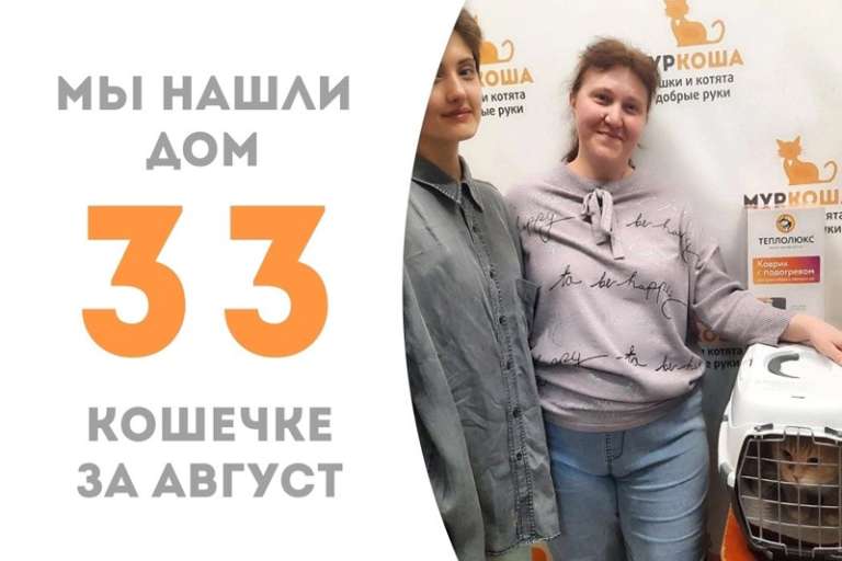 Дамочка обрела дом и семью!