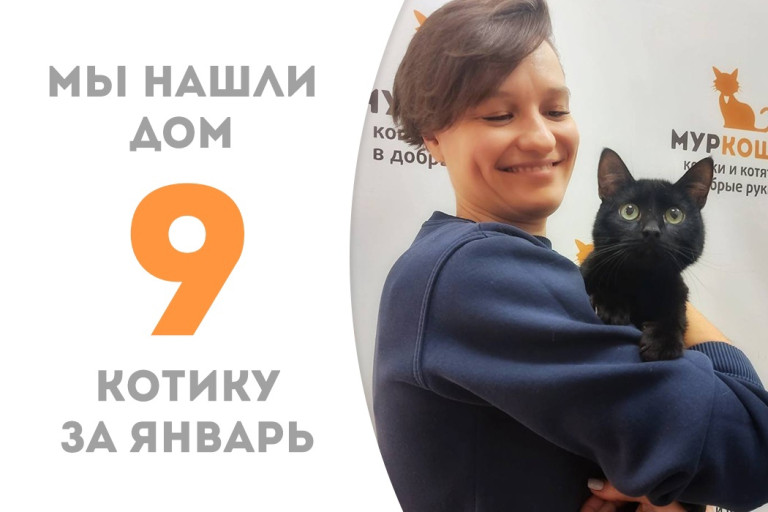 Добрый годовалый котик Доброкот нашёл для себя добрые ручки!