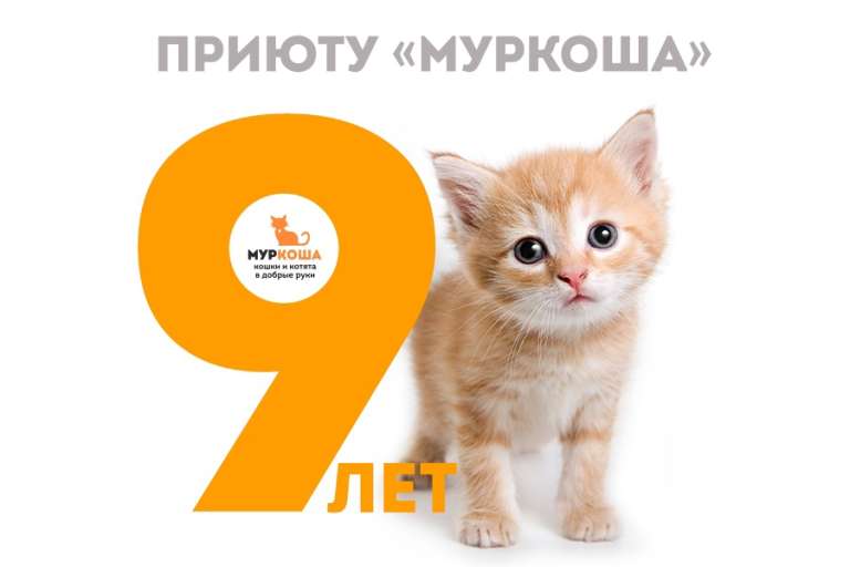 Приюту "Муркоша" – 9 лет!