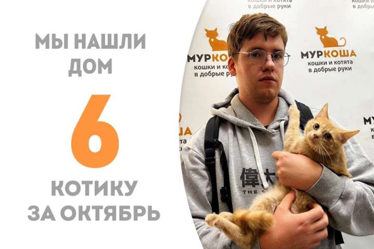 Чуть больше двух месяцев понадобилось Дюрсо, чтобы встретить своего человека!