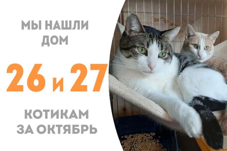 Джанни и Лаччи уезжают в семью, где уже живут наши выпускники Момарина и Заюня!