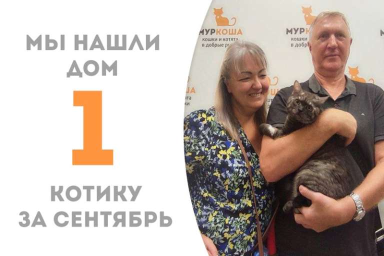 Джифир дома!