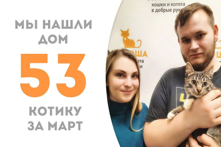 Котик Джизаль стал домашним и любимым!