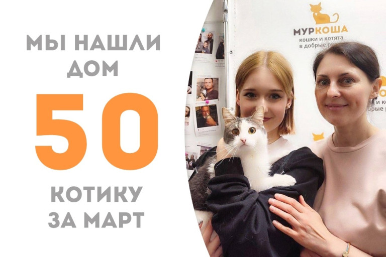 Котик Джулио встретил свою семью и стал домашним!