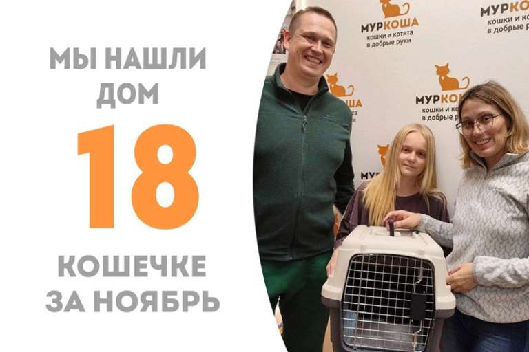 Элин встретила своих людей и стала домашней!