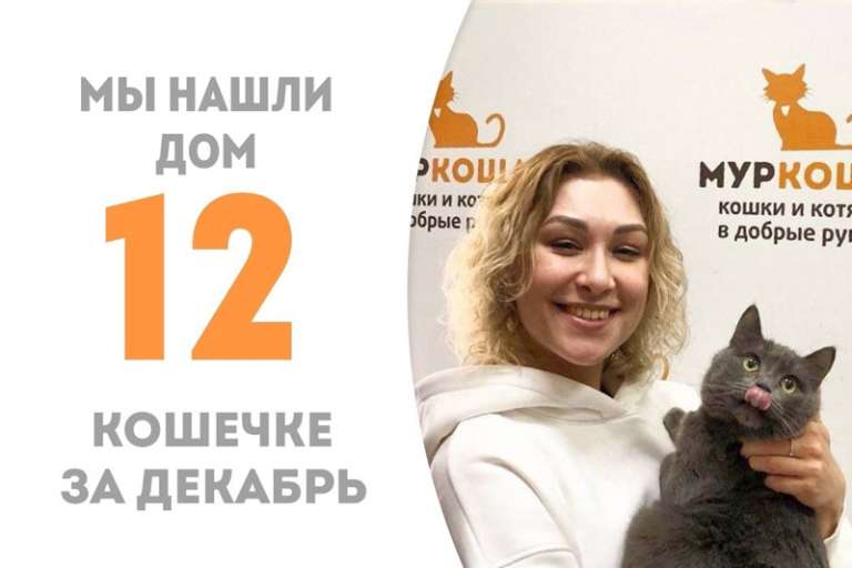 Эмлерия покидает приют в тёплых хозяйских объятиях!