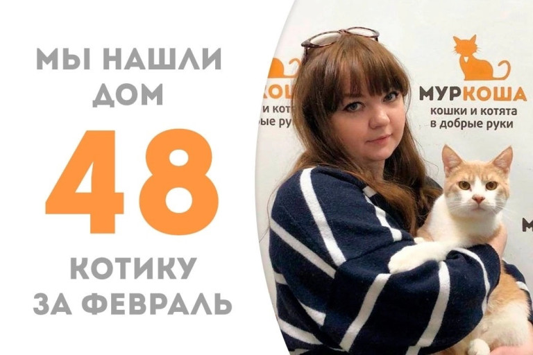 Кремовый котик Эндис уехал домой!